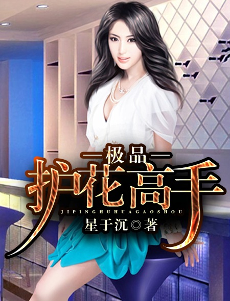 极品护花高手 叶枫