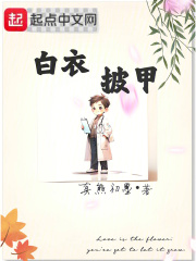 白衣披甲小说