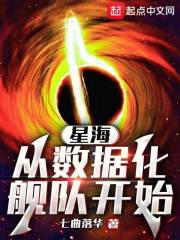 星海,从数据化舰队开始