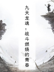 九天龙魂：战斗燃烧的青春