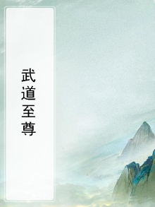武道至尊