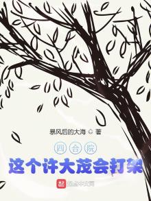 四合院许大茂的逆袭