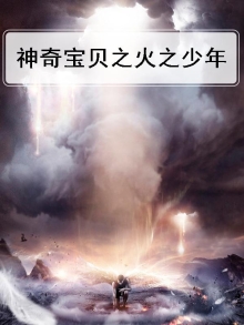神奇宝贝之火之少年