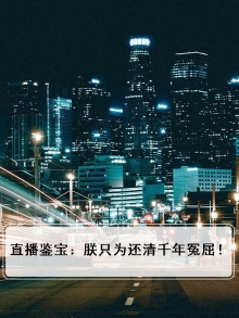 直播鉴宝:朕只为还清千年冤屈!