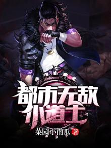 无敌小道士全文阅读