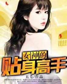 女神的贴身高手txt全集
