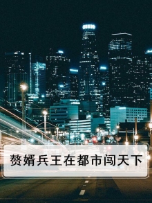 赘婿兵王在都市闯天下