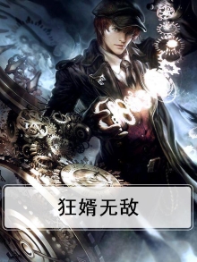 狂婿无敌