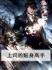 上司的贴身高手