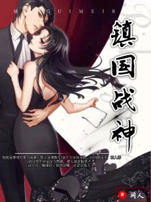 镇国战神陆霄 小说