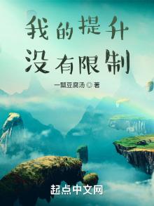 我的提升没有限制TXT下载