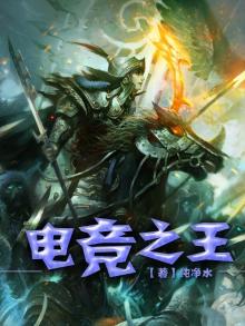 电竞之王之痞子传说txt百度网盘