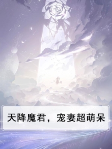天降魔君，宠妻超萌呆