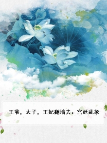 王爷,太子,王妃翻墙去:宫廷乱象