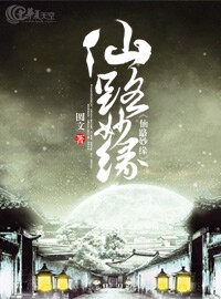 仙缘剑路 小说