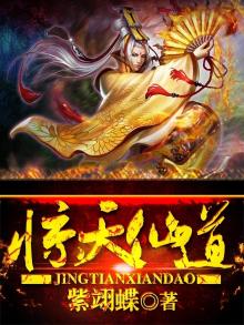 惊天仙途百度百科