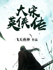 大宋奇侠传