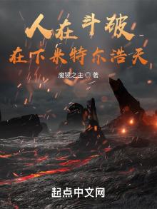 人在斗破:在下米特尔浩天