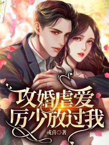 攻婚掠爱:陆少别太坏!