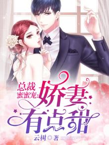 总裁蜜蜜宠:老婆有点甜