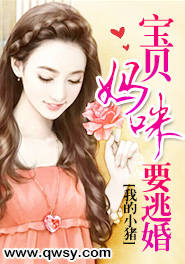 宝贝妈咪要逃婚免费阅读