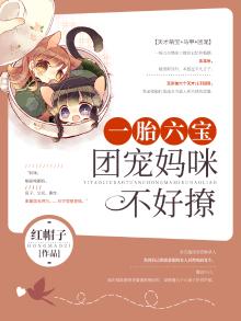一胎六宝:团宠妈咪不好撩