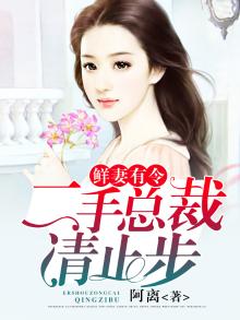《鲜妻有令:二手总裁,请止步》