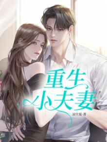 重生小夫妻 夜雨风华