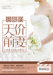 总裁的天价前妻小说
