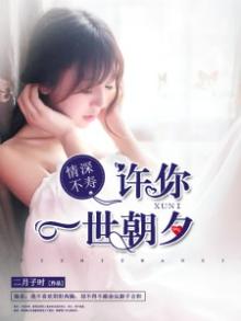 许你情深不候小说