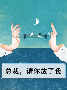总裁,请你放了我