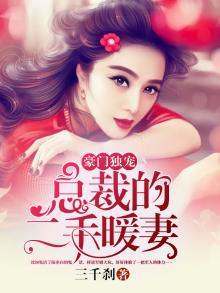 豪门独宠,总裁的二手暖妻