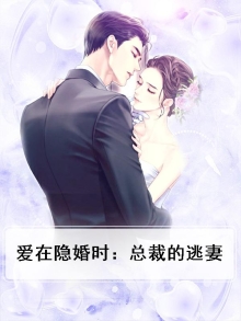 总裁在公司的隐婚小说