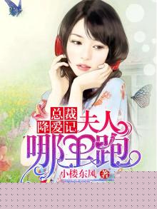 总裁夫人哪里逃小说笔趣阁