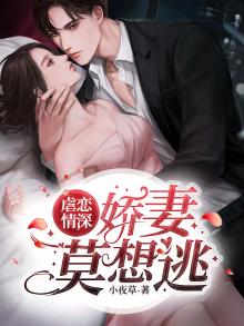 宠妻虐恋