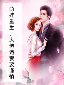萌娃重生,大佬追妻要谨慎