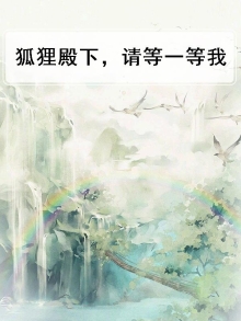 狐狸殿下,请等一等我