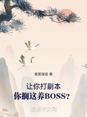 让你打副本,你搁这养BOSS?全文阅读
