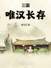 三国维护汉朝的小说