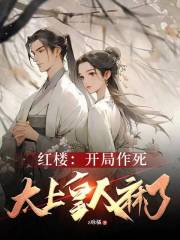 红楼:开局作死,太上皇人麻了