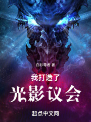 我打造了光影议会txt