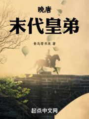 晚唐:末代皇弟小说
