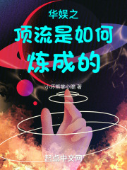 主角穿越华娱成为顶流的小说
