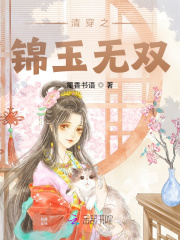 清穿锦玉无双小说