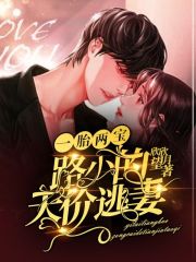 一胎三宝,陆少前妻过分迷人
