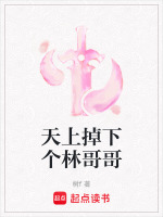 天上掉下个林妹妹是什么歌曲的歌词
