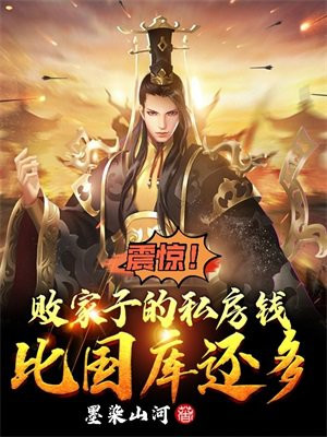 震惊败家子的私房钱比国库还多小说