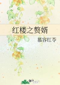 红楼之赘婿玉带紫蟒