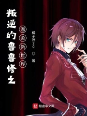 鲁路修:缔造新纪元小说