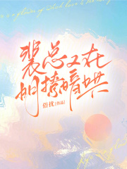 裴总是什么意思